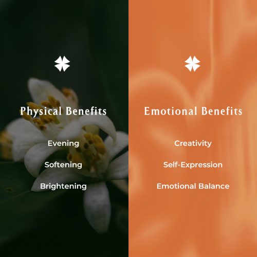 工作區域 1 拷貝 3_neroli