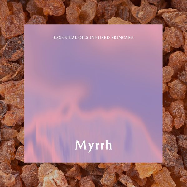 工作區域 1 拷貝_myrrh