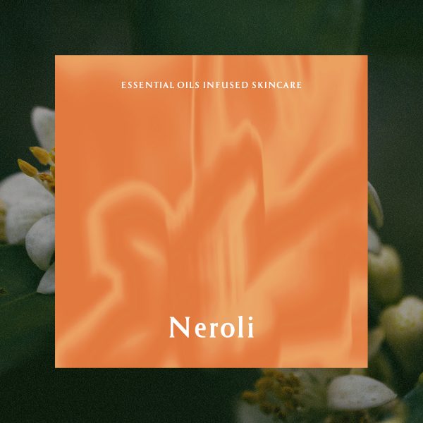 工作區域 1 拷貝_neroli